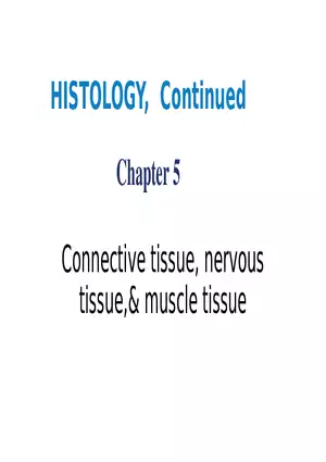 Chapter 5 Tissues – Epithelial, Connective, Muscle, Nervous, Membranes (Continued)