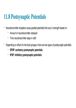 11.8 Postsynaptic Potentials