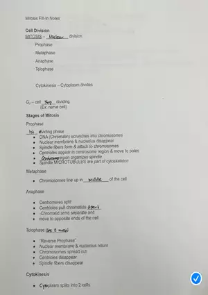Mitosis Fill-In Notes