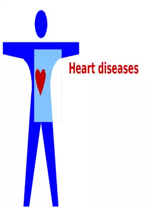 Heart Diseases