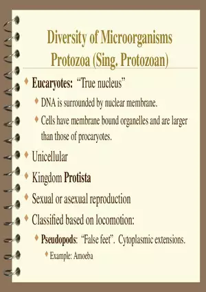 Diversity of Microorganisms Protozoa
