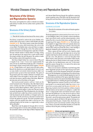 Microbial Diseases of the Urinary and Reproductive Systems