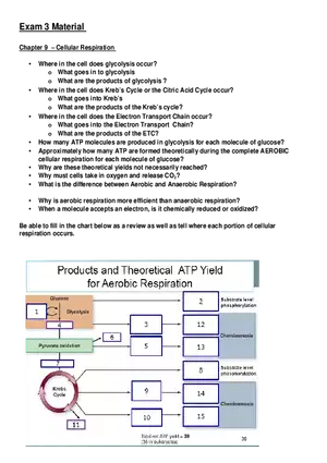 Review Sheet for Biology Exam 3