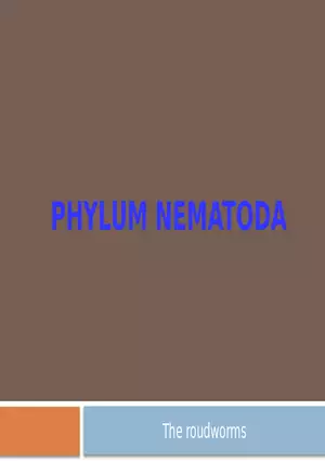 Phylum Nematoda