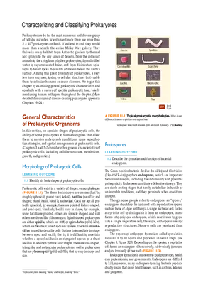 Characterizing and Classifying Prokaryotes