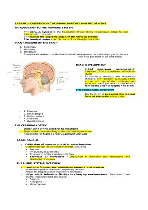 Lesson 3  Cognition in the Brain. Anatomy and Mechanisms