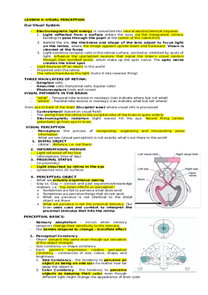 Lesson 4  Visual Perception