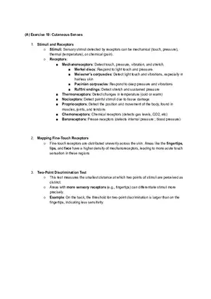 (A) Exercise 19: Cutaneous Senses