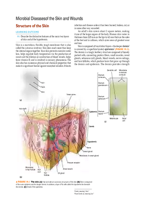Microbial Diseases of the Skin and Wounds