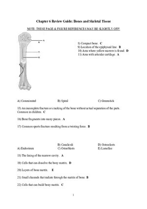 Chapter 6 Review Guide Bones and Skeletal Tissue