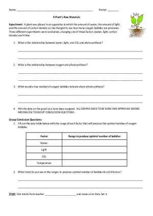 A Plant’s Raw Materials