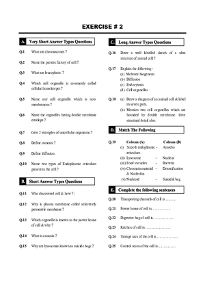 Cell Biology Exercise # 2