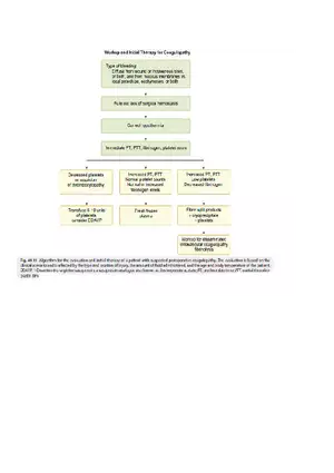 Workup and Initial Therapy for Coagulopathy