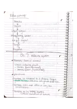 Anatomy. The Endocrine System