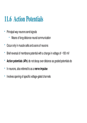 11.6  Action Potentials