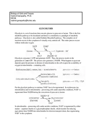 Glycolysis Notes Ganapathy