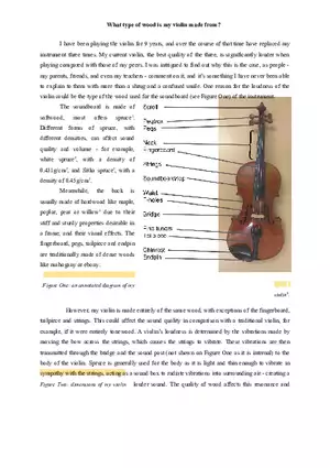 What Type of Wood is My Violin Made From 1