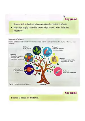 Introduction to Science Branches and Areas of Study