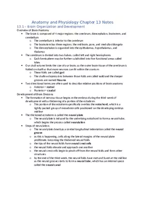 Anatomy and Physiology Chapter 13 Notes