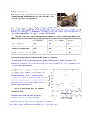 Do Animals Get Cancer