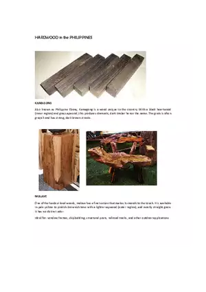 Hardwood and Softwood in the Philippines
