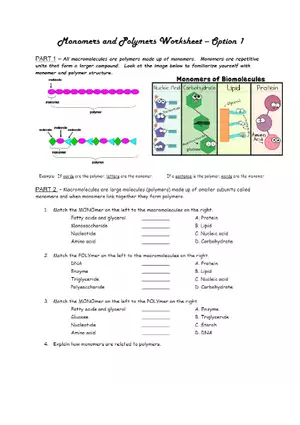 Monomers and Polymers Worksheet