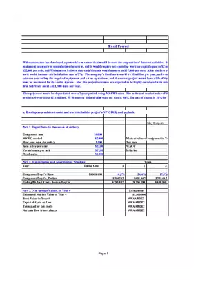 Project Excell Final Government Finance
