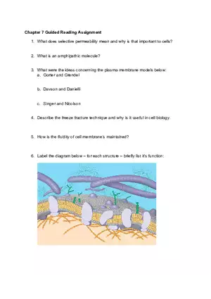 Biology Guided Reading Assignment
