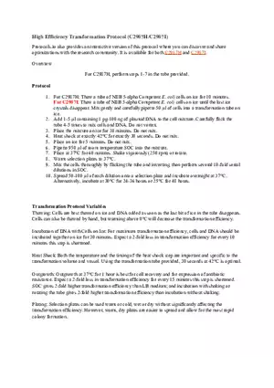 High Efficiency Transformation Protocol