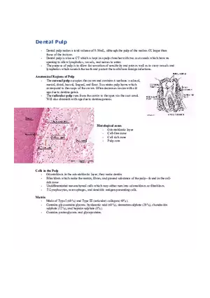 Dental Pulp Notes