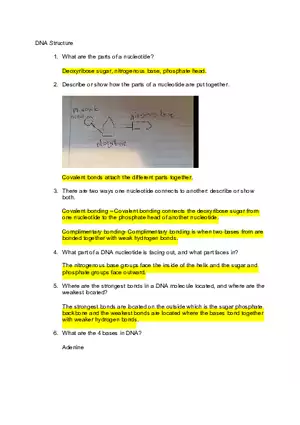 DNA Quiz Answers - Assignment