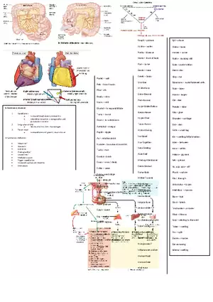 Coagulation Cheat Sheet