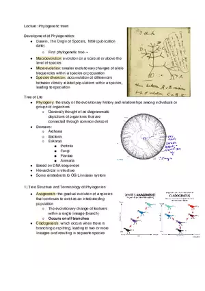 Phylogenetic Trees - Lecture Notes
