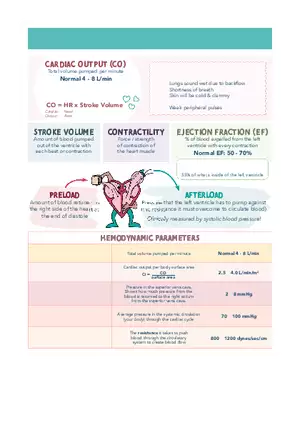 Cardiac System Med Surg Notes 1