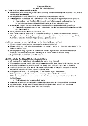 Campbell Biology Chapter 10 Photosynthesis