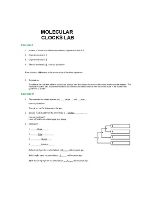Molecular Clocks