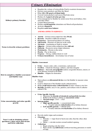 Sensory Perception Notes