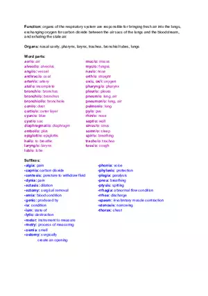 Ch. 7 - Respiratory System