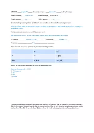 Fly Lab Report - Genetics