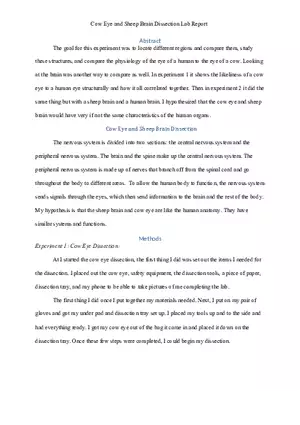 Cow Eye and Sheep Brain Dissection Lab Report