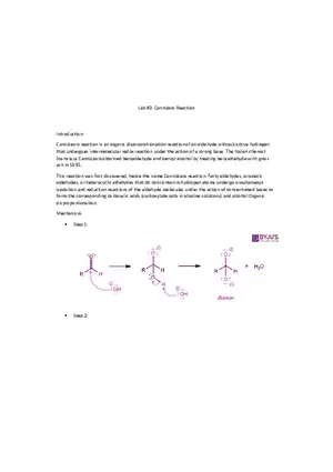 Lab 4 (Cannizaro Reaction)