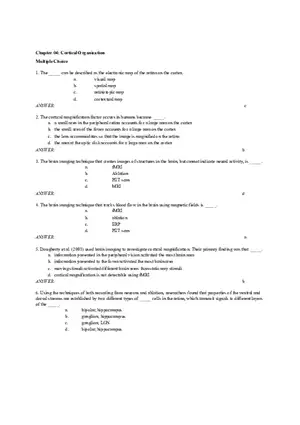 Chapter 04 Cortical Organization
