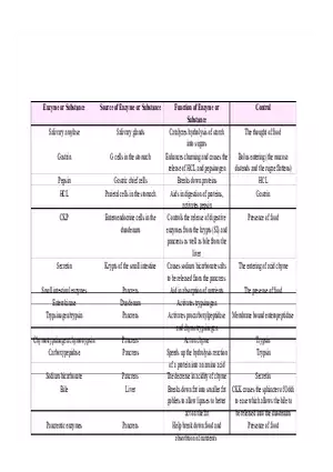 Enzyme Chart In Human Body
