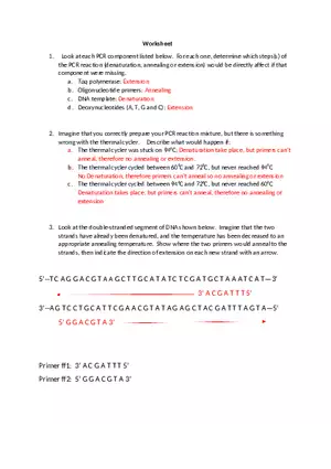 PCR Worksheet Answer Key