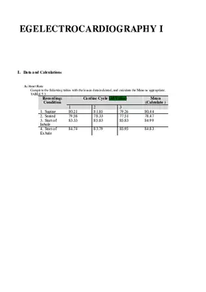 3 Types of Cells the Heart Needs to Beat