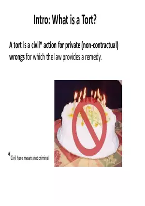 What is a Tort (Lecture) Part 1