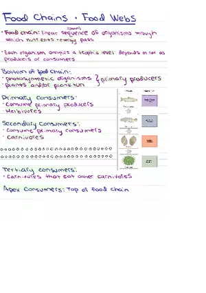 Food Chains Unit 2 Notes