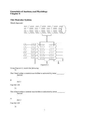 The Muscular System Questions and Answers (1-6)