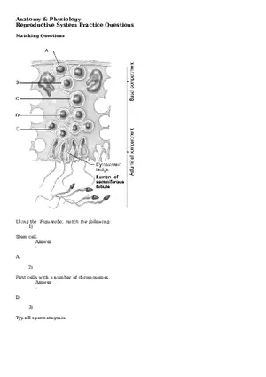 Reproductive System Practice Questions - Part 1