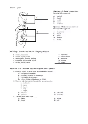 Chapter 1 Human Body Cavities and Anatomical Directions